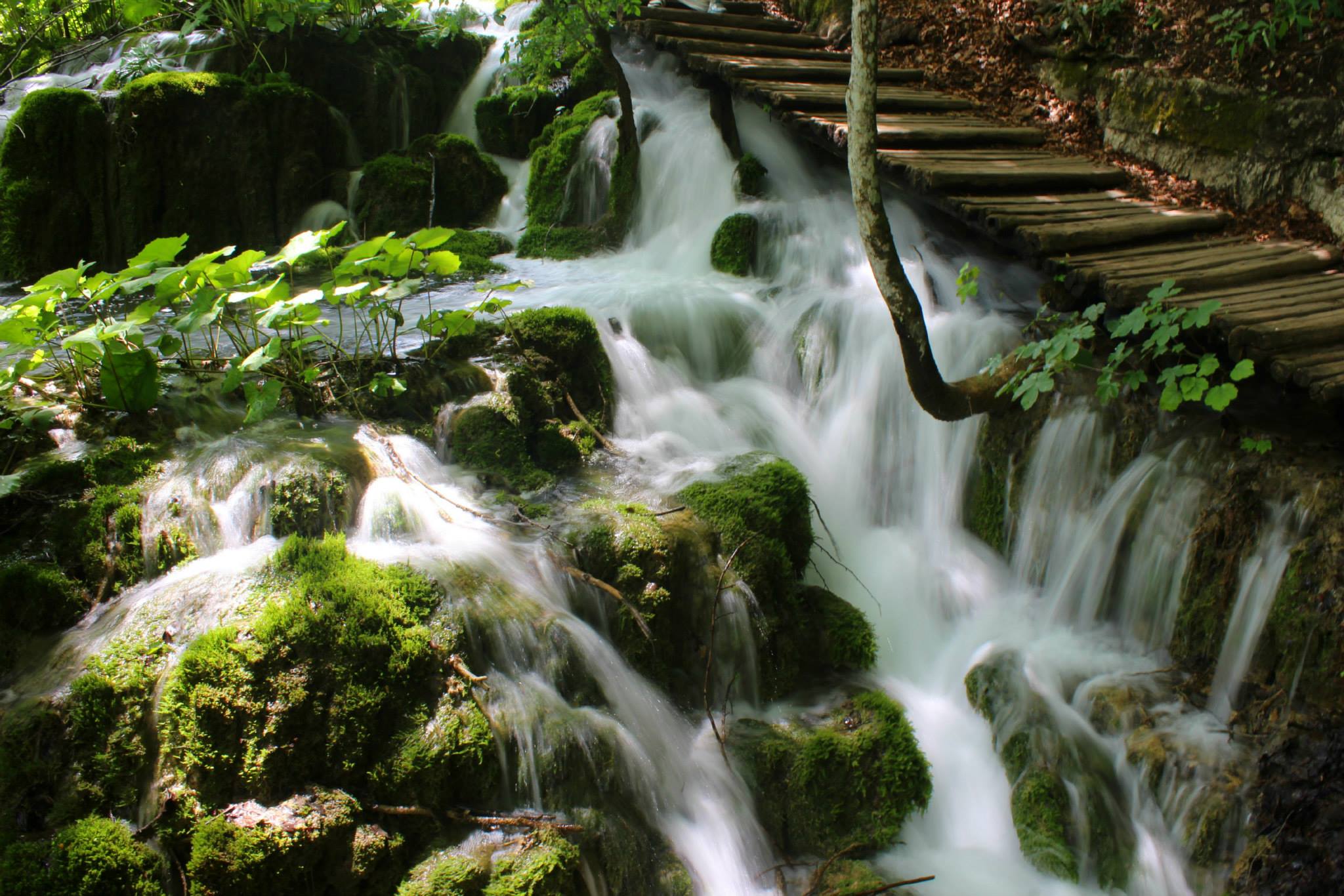 Plitvice Lakes – Where photos for Calendars are taken!