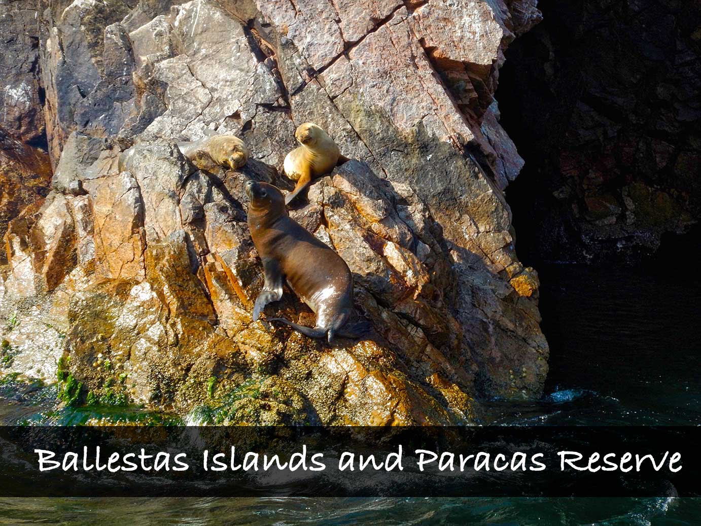 Touring Ballestas Islands and Paracas Reserve
